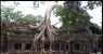 angkor (WxH) - il templio simbolo della Cambogia 