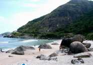 Brasile