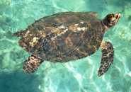 incontro interessante...